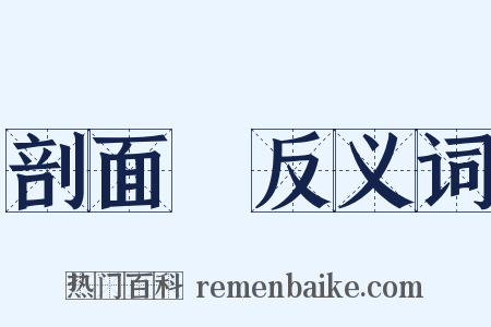 剖面圖反义词是什么意思的图片